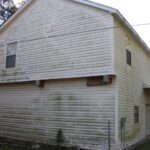 Before - Siding Cleaning
