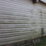 Before - Siding Cleaning